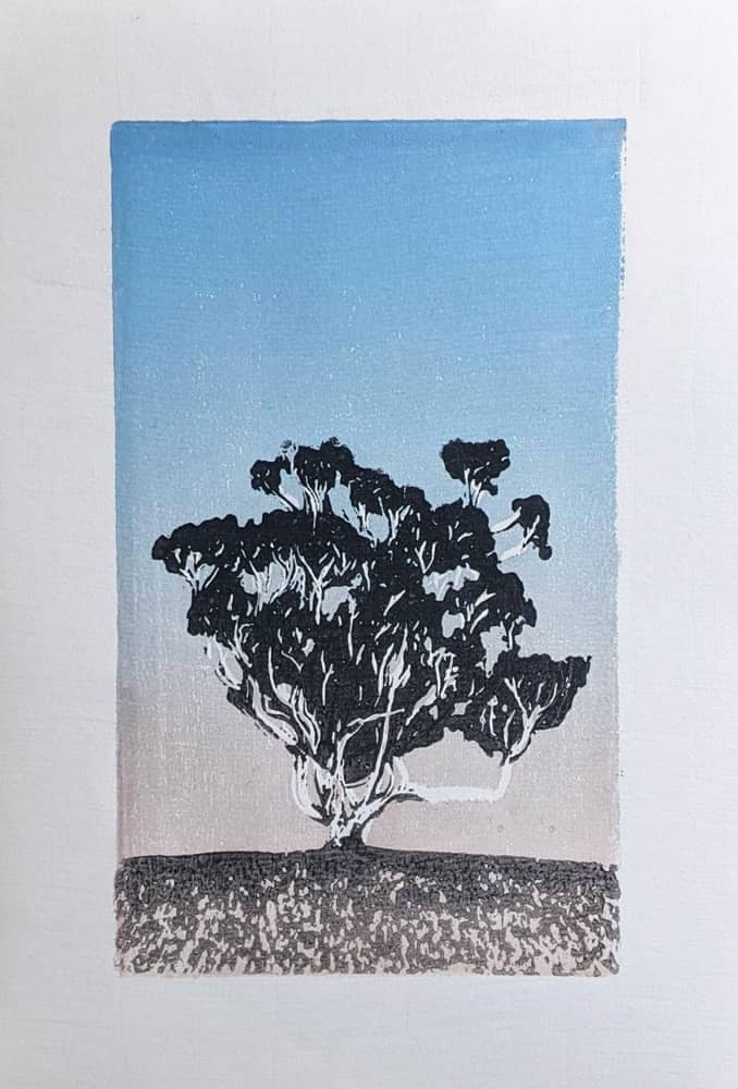 Eneabba Tree Study. 12cm x 20cm. Edition of 5 Woodblock prints on Zerkall Fine Art Paper.
