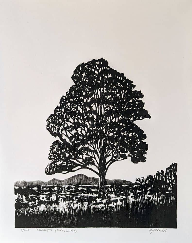 'Eucalypt (Northcliffe)', 2023. 20cm x 22cm (Print Size, Page: 25 x 30cm) <br> Woodblock Print. Limited Edition of 100 prints. <br>Printed on Awagami Bamboo fine art paper. Available to <a href= 'https://mattperrinprintmaker.etsy.com/au/listing/1581589405/woodblock-print-edition-of-100-eucalypt' target='_blank'>Purchase</a