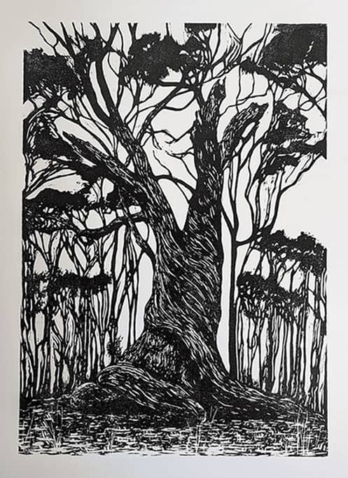'Remnant Jarrah 1', 2023. 42cm x 60cm (Paper: 56 x 76cm) <br> Woodblock Print. Limited Edition of 25 prints. <br>Printed on 250gsm 100% Cotton paper. Available to <a href= 'https://mattperrinprintmaker.etsy.com/listing/1588911026' target='_blank'>Purchase</a