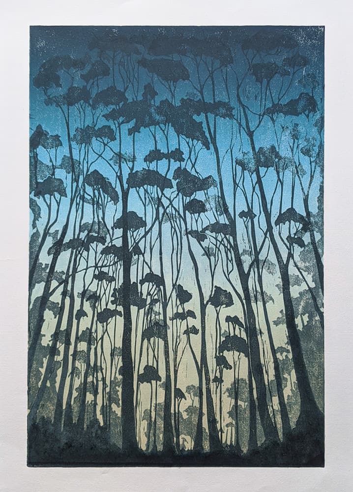 Karri Trees (Porongorups). 2020. 30cm x 45cm (12in x   18in)<br> Edition of 10 woodcut prints. <br>Printed on Awagami Bamboo fine art paper